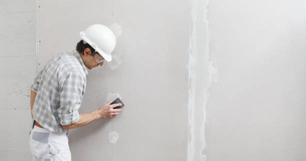 Best Fire-Damaged Drywall Repair  in Double Springs, AL